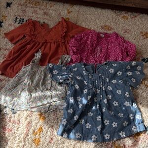Gap and JCrew Girl's Bundle 4 Tops in Total Size 4T